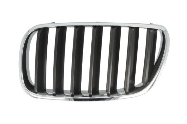 Bmw Radiateurgrille