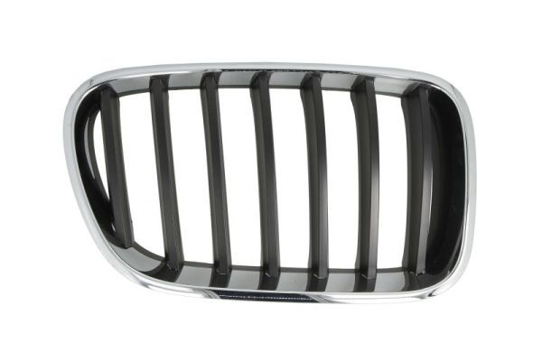 Bmw Radiateurgrille
