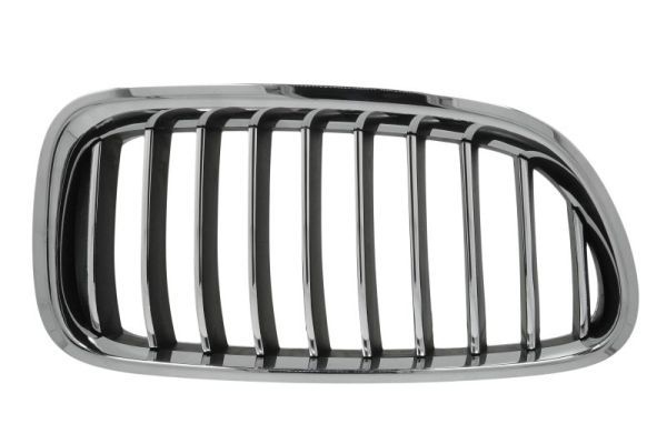Bmw Radiateurgrille