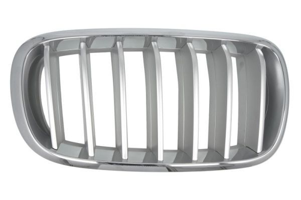 Bmw Radiateurgrille