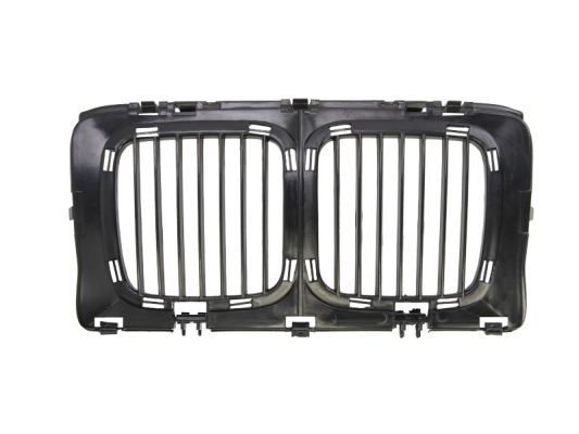 Bmw Radiateurgrille