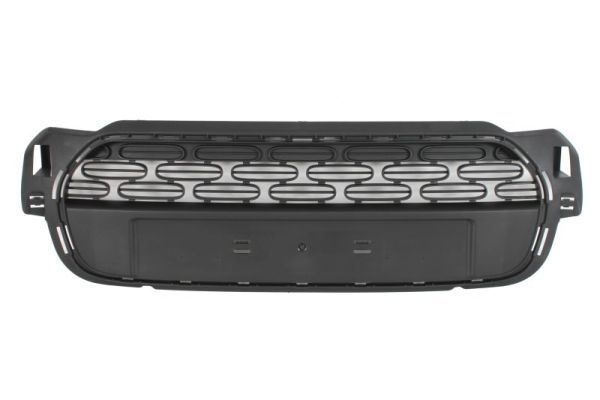 Citroen Radiateurgrille