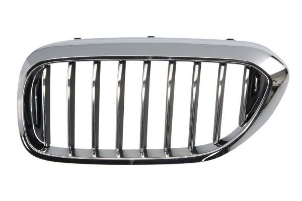 Bmw Radiateurgrille