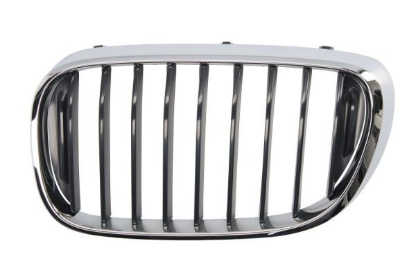 Bmw Radiateurgrille