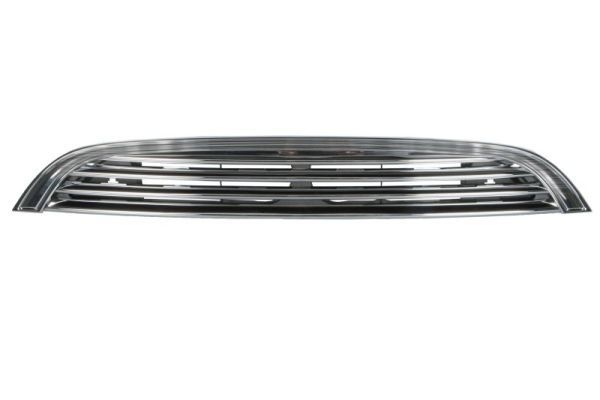 Mini Radiateurgrille