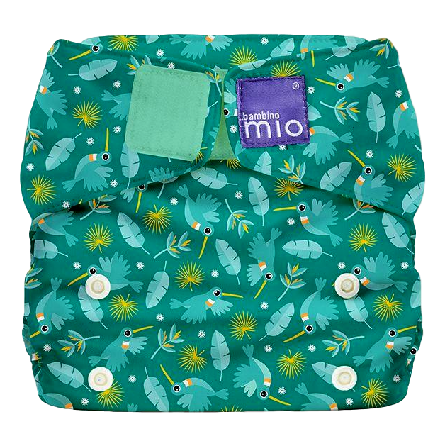 Bambino Mio solo - Kolibrie