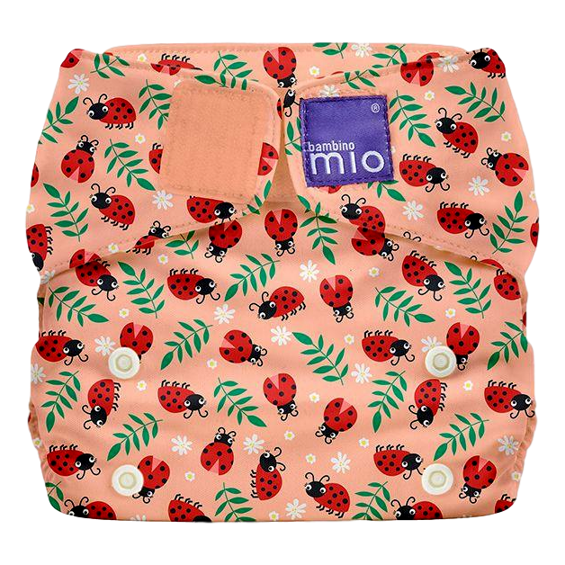 Bambino Mio solo - Lieveheersbeestje