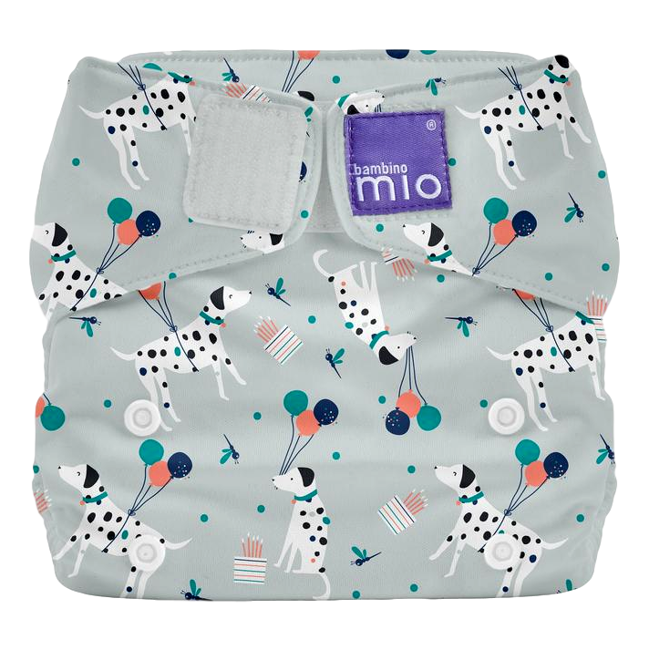 Bambino Mio solo - Pet Party