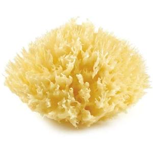 THERMOBABY Honingraat van Eponge de mer nr. 10