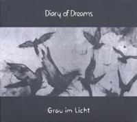 Accession Grau Im Licht - Diary Of Dreams