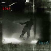 Cryptogramophone Veil - Nels Cline