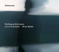 ECM Driftwood - Wolfgang Muthspiel /larry Grenad