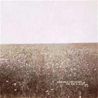 Anti Ash & Clay - Milk Carton Kids