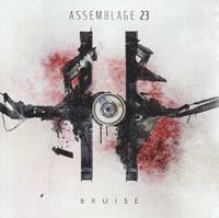 Accession Bruise - Assemblage 23