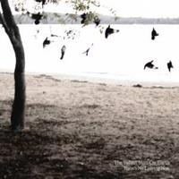 Dead Oceans There's No Leaving - Tallest Man On Earth