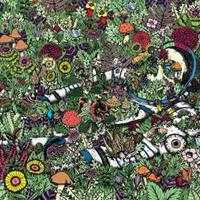 Thrill Jockey Whatever Forever - Oozing Wound