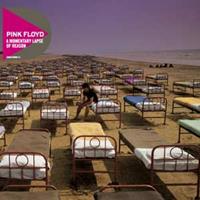 I-Di A Momentary Lapse Of Reason