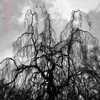 Constellation Never Were The Way She Was - Colin Stetson