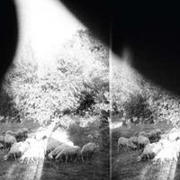 Constellation Asunder, Sweet & Other Distress - Godspeed You! Black Emperor