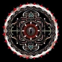 Roadrunner Records Amaryllis - Shinedown