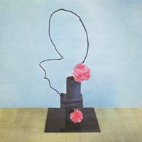 4ad Oh Inhuman Spectacle - Methyl Ethel