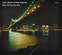 ECM Wait Till You See Her - John Abercrombie
