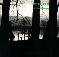 Bureau B Sowiesoso - Cluster