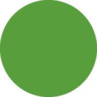 Kleurenfilter Vel, code:122 Fern Green, 122 x 53 cm