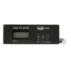 DAP GIG MP3 USB Record module