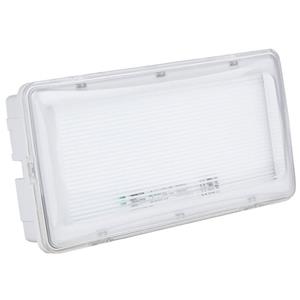 Showtec Safeled emergencylight