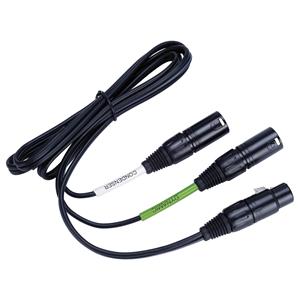 Lewitt DTP40TRS 1.5m 5-pin XLR to 2x XLR Cable For DTP-640-REX