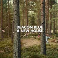 Medium Wave A New House - Deacon Blue