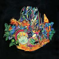 Western Vinyl Ears - Kaitlyn Aurelia Smith