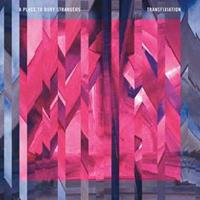 Dead Oceans Transfixiation - A Place To Bury Strangers