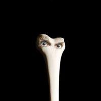 Coast To Coast Halo - Juana Molina