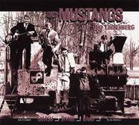Bear Family Mustangs - Mustangs