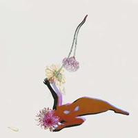 Future Islands: Far Field