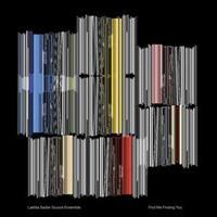 Drag City Find Me Finding You - Laetitia Sadier -source Ensemble