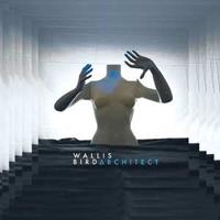 Groove Attack Architect - Wallis Bird