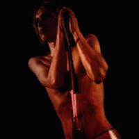 Sony Music Entertainment Germany / COL Raw Power