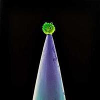 Caroline New Blood - Peter Gabriel