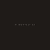 Rca Records Label That's The Spirit - Bring Me The Horizon