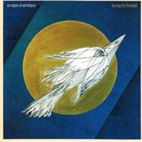 Drag City Burning The Threshold - Six Organs Of Admittance