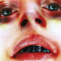 Xl Arca - Arca