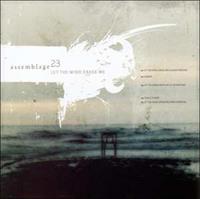 Accession Let The Wind Erase Me - Assemblage 23