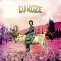 Pampas Amygdala - Dj Koze