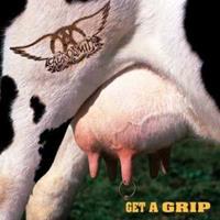 Geffen Get A Grip - Aerosmith