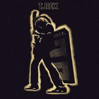 Universal Vertrieb - A Divisio / A & M Records Electric Warrior (Remastered)