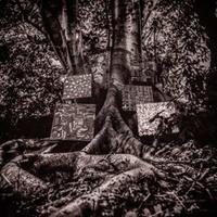 Young At Heart Harmony Of Difference - Kamasi Washington