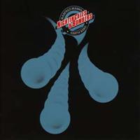 Manfred Manns Earth Band Nightingales & Bombers